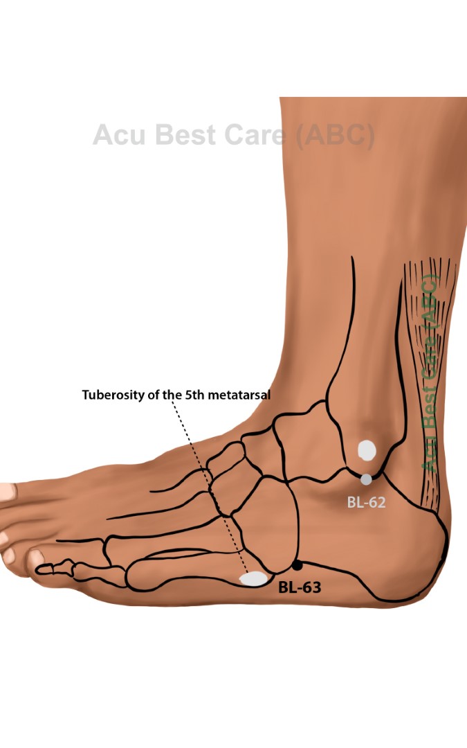 Acubestcare Meridian UB-63 or BL-63